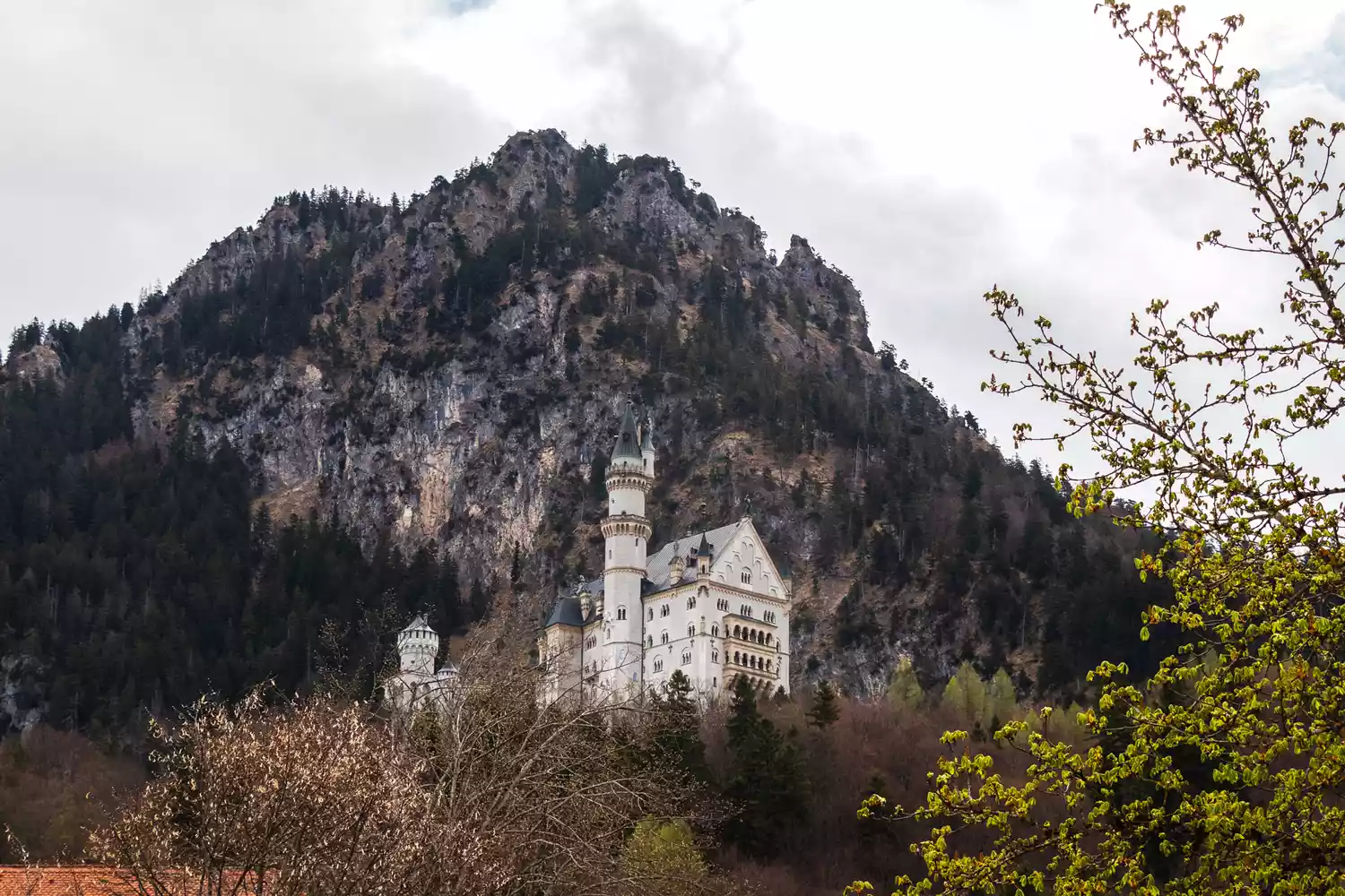 The white towers of Neuschwanstein Castle nestled in the Bavarian mountains.