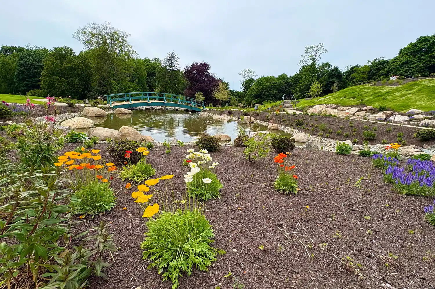 A green curved bridge over a pond surrounded by lush gardens, inspired by Claude Monet's Giverny.