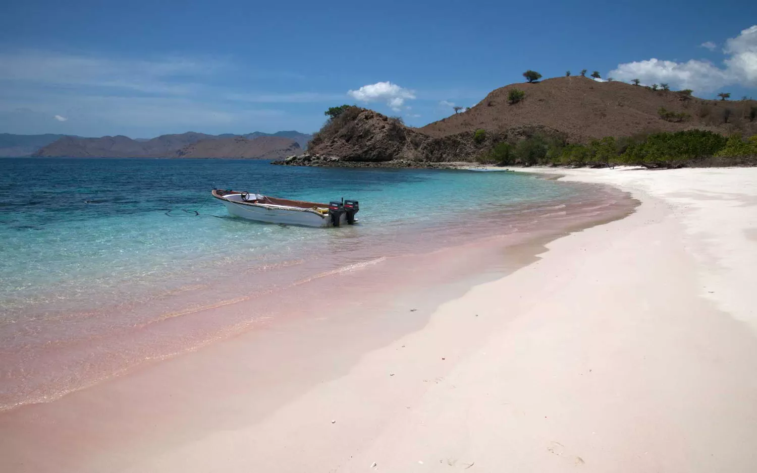 A high-angle view of Pantai Merah (Red Beach) on Komodo Island showing vibrant pink sand.