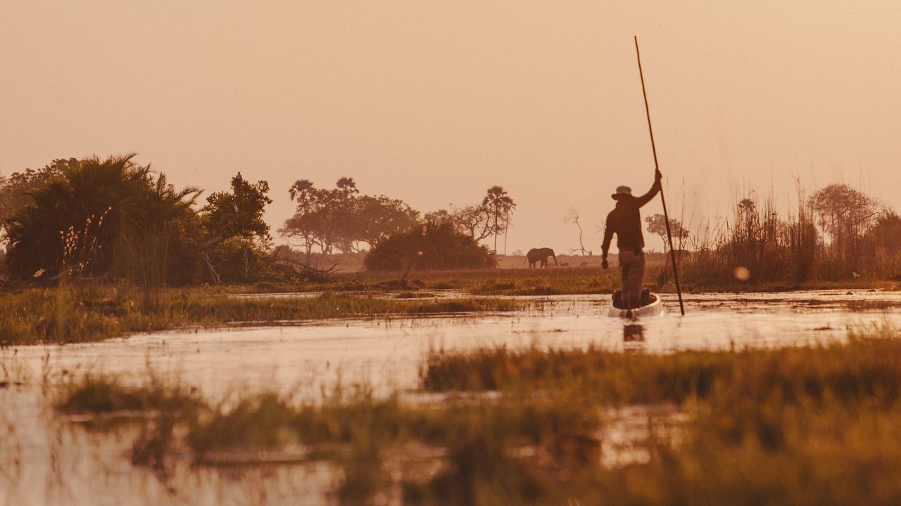 Okavango Delta Botswana: A Fragile Safari Miracle