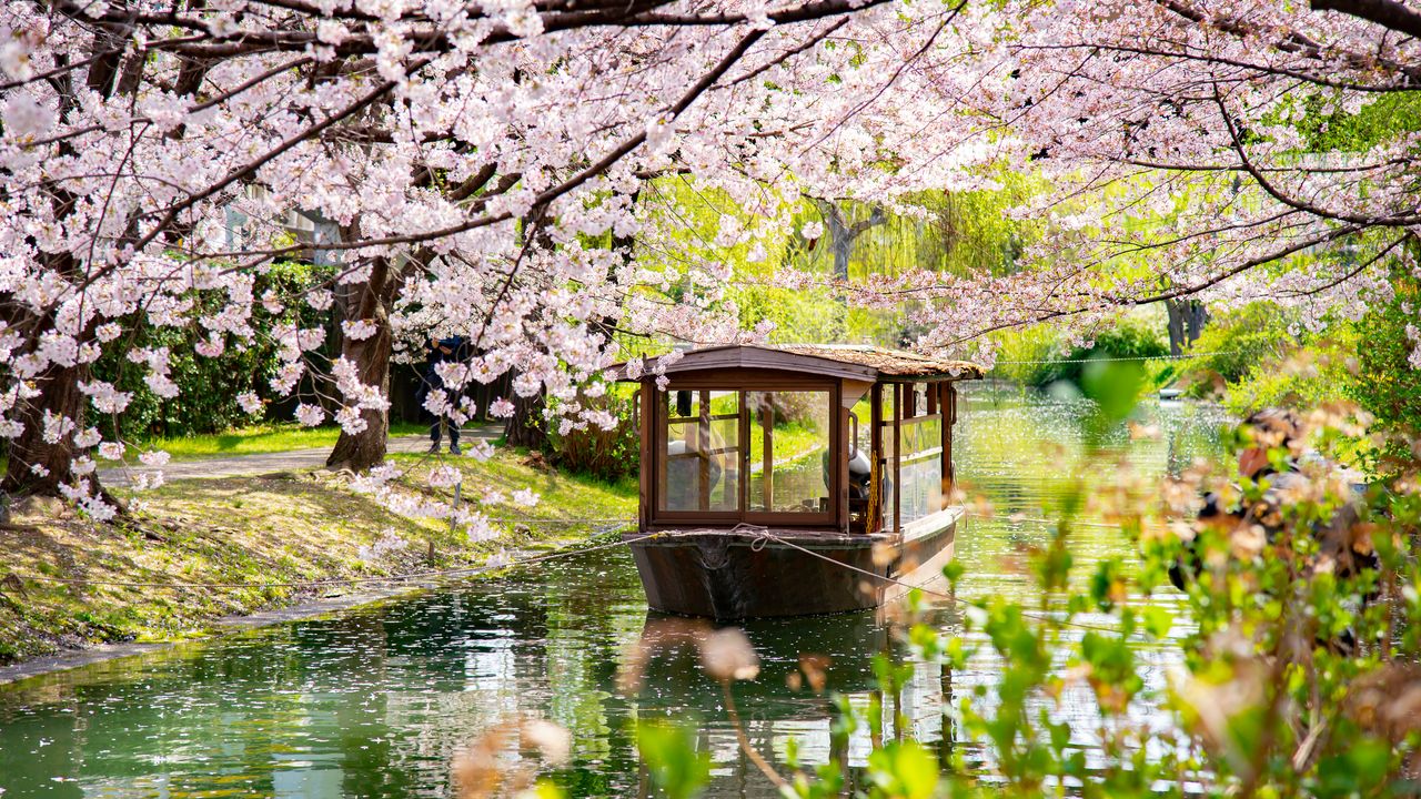 20 Bucket-List Mother Daughter Trips for 2026