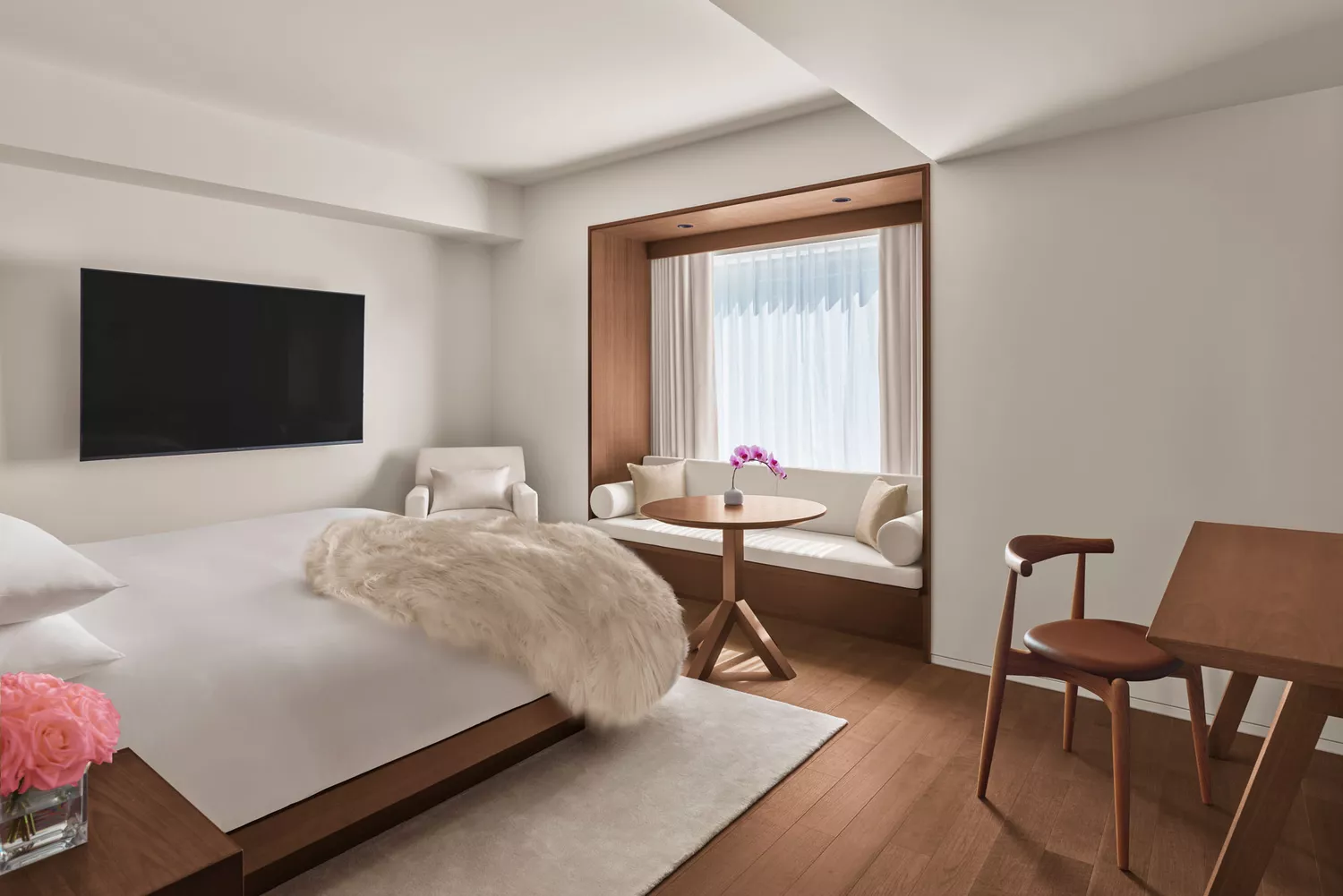 Contemporary boutique hotel room with clean lines and greenery.