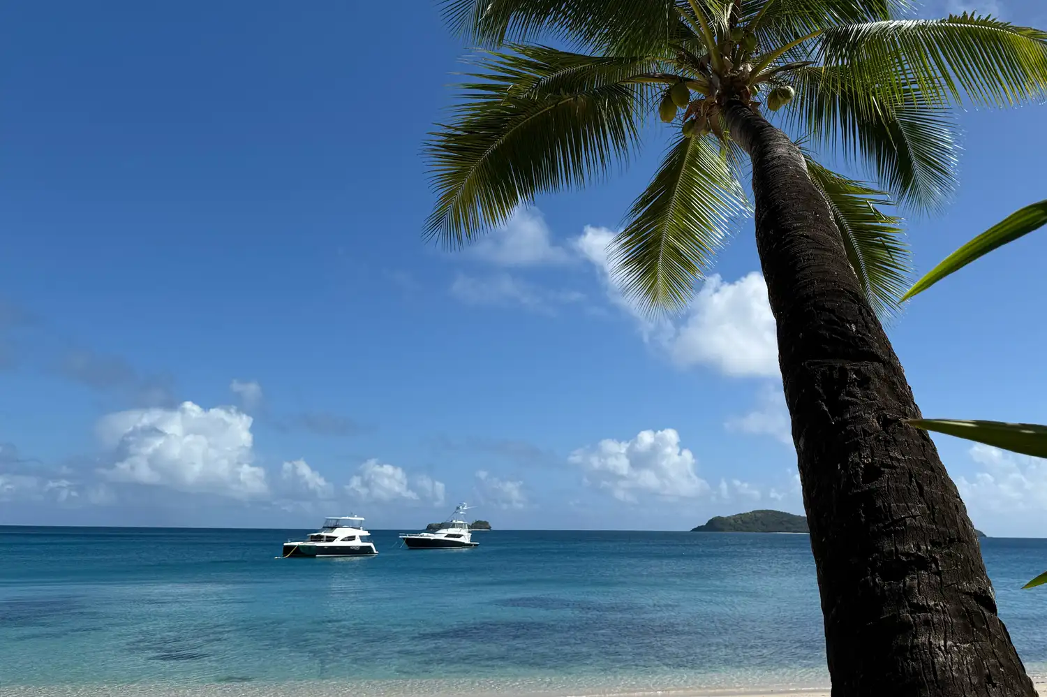 Two private boats from the Kokomo fleet anchored near a white sand beach with palm trees.