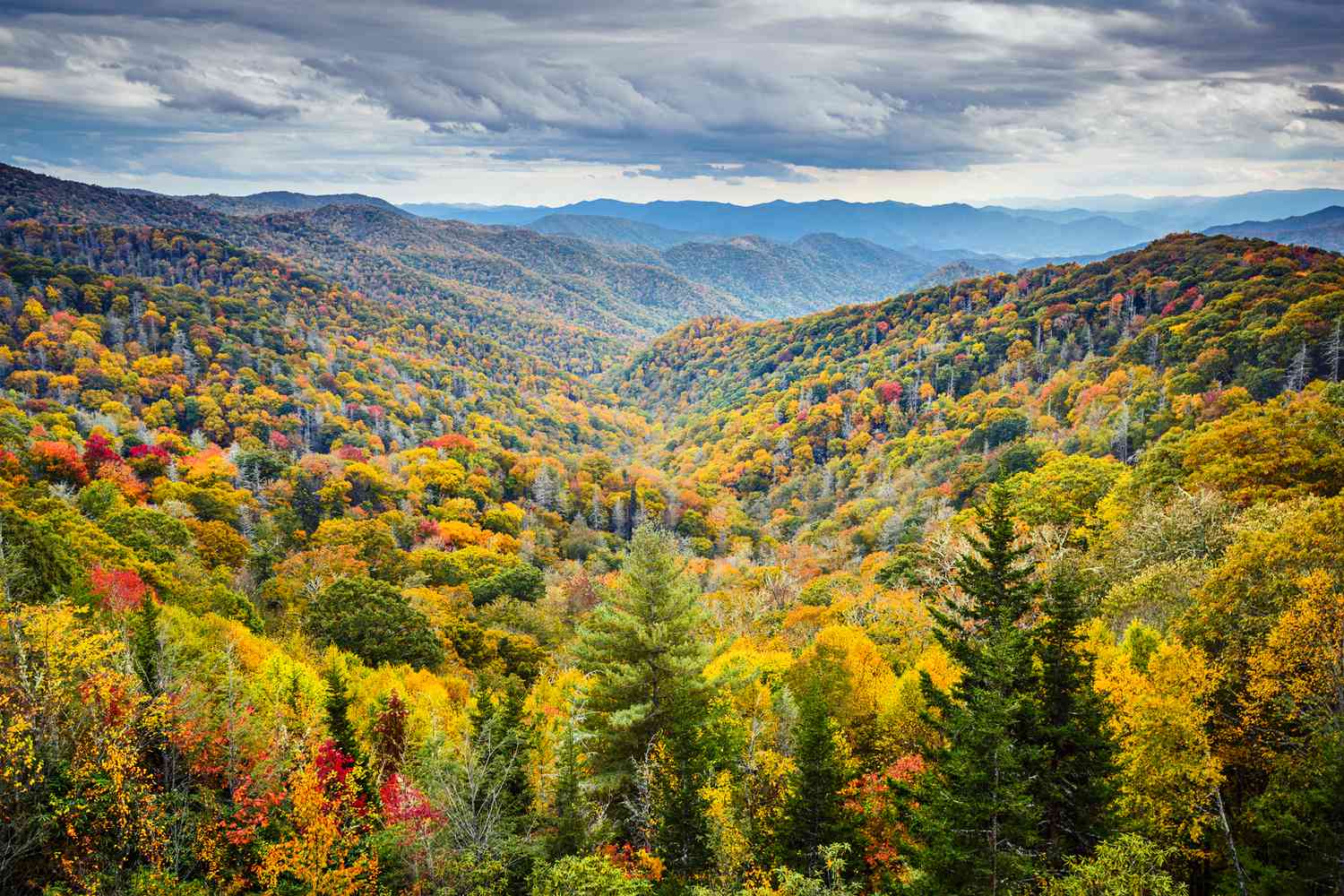 20 Best Tennessee Cultural Attractions to Visit in 2026