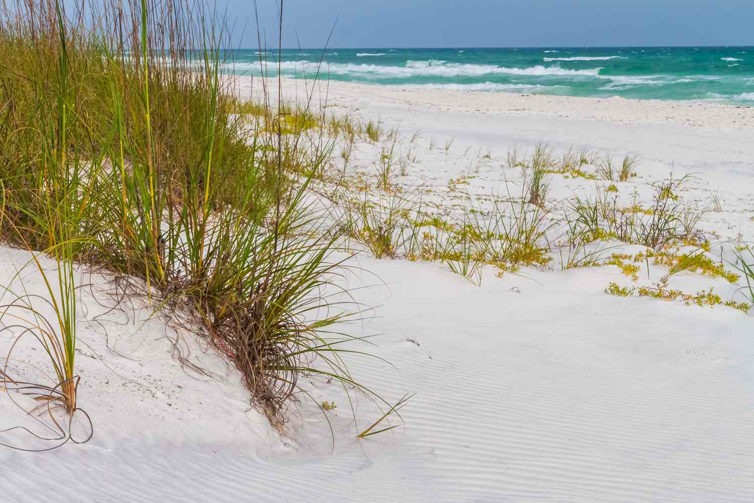 Guide to Grayton Beach State Park: Lakes & Snorkeling
