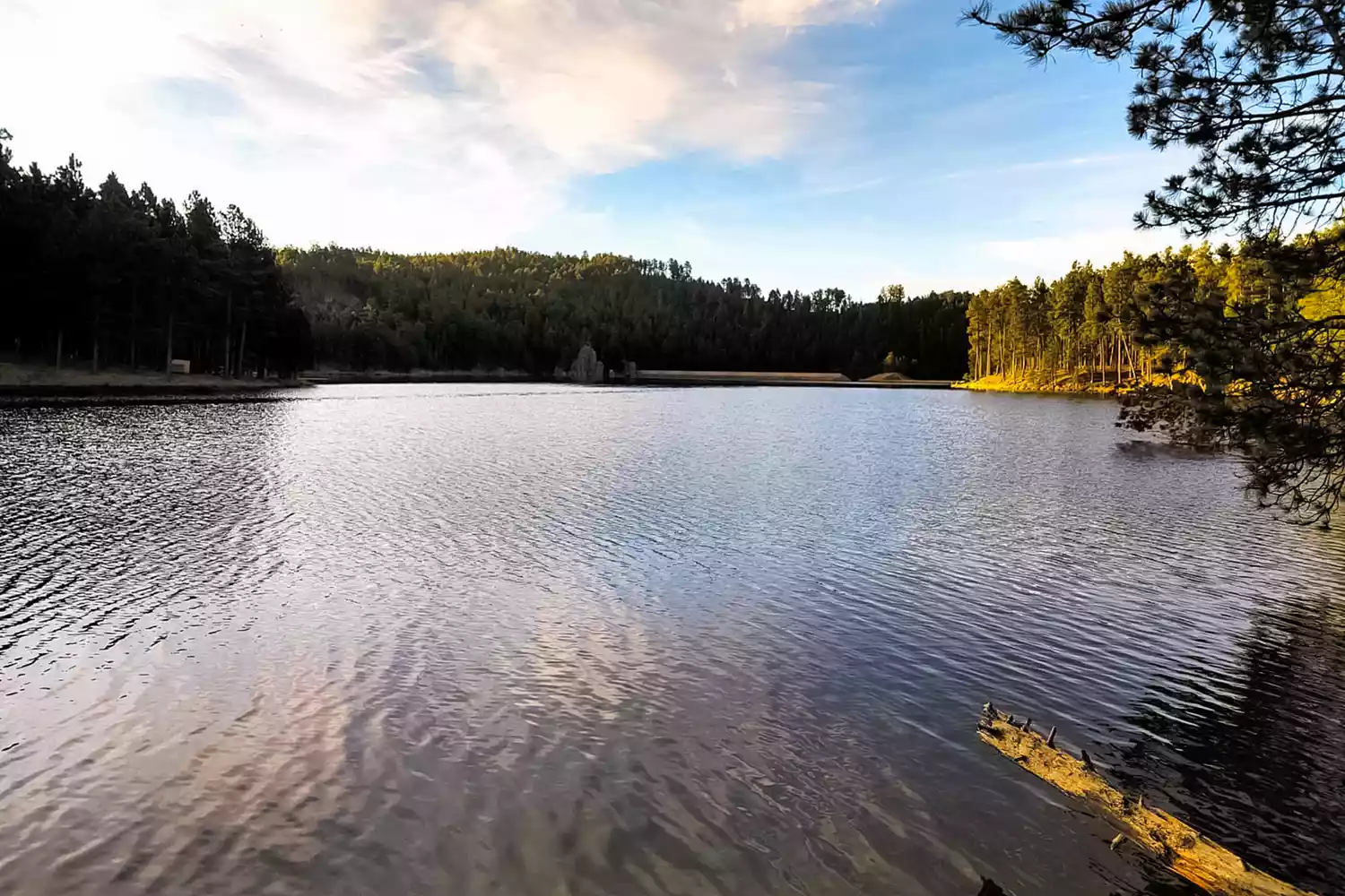 A calm lake reflecting the surrounding trees at a campground in Custer State Park.