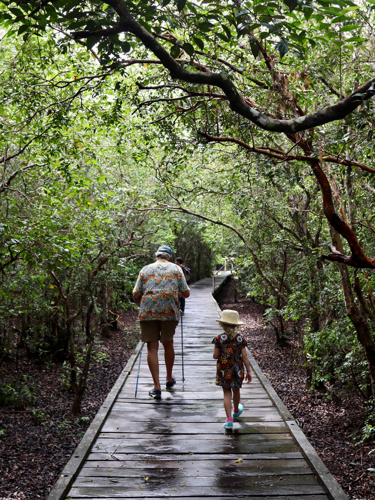 A family group walking through a lush jungle trail during a nature hike.