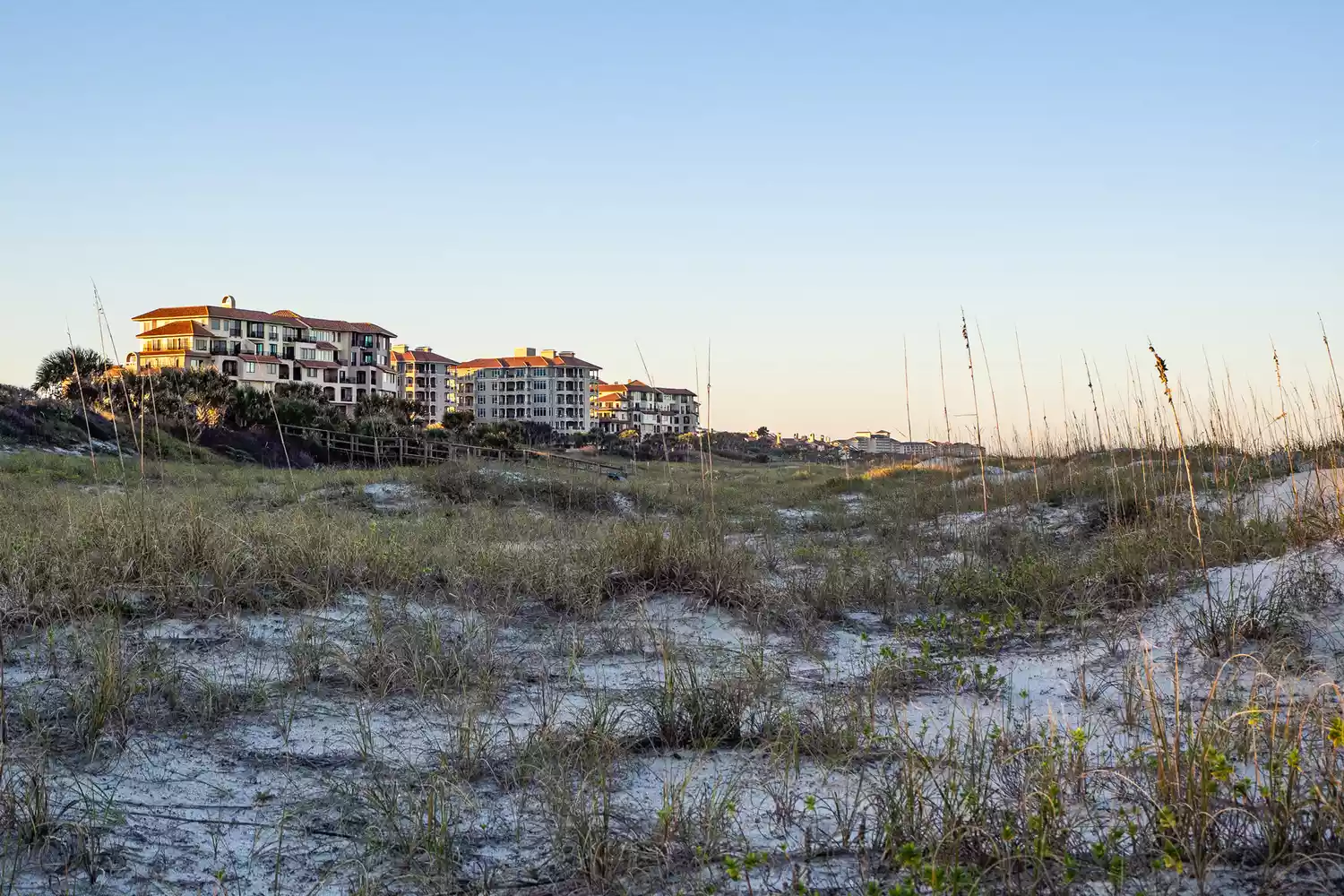 Tall sea grass growing on sandy dunes in front of beach houses on Amelia Island.
