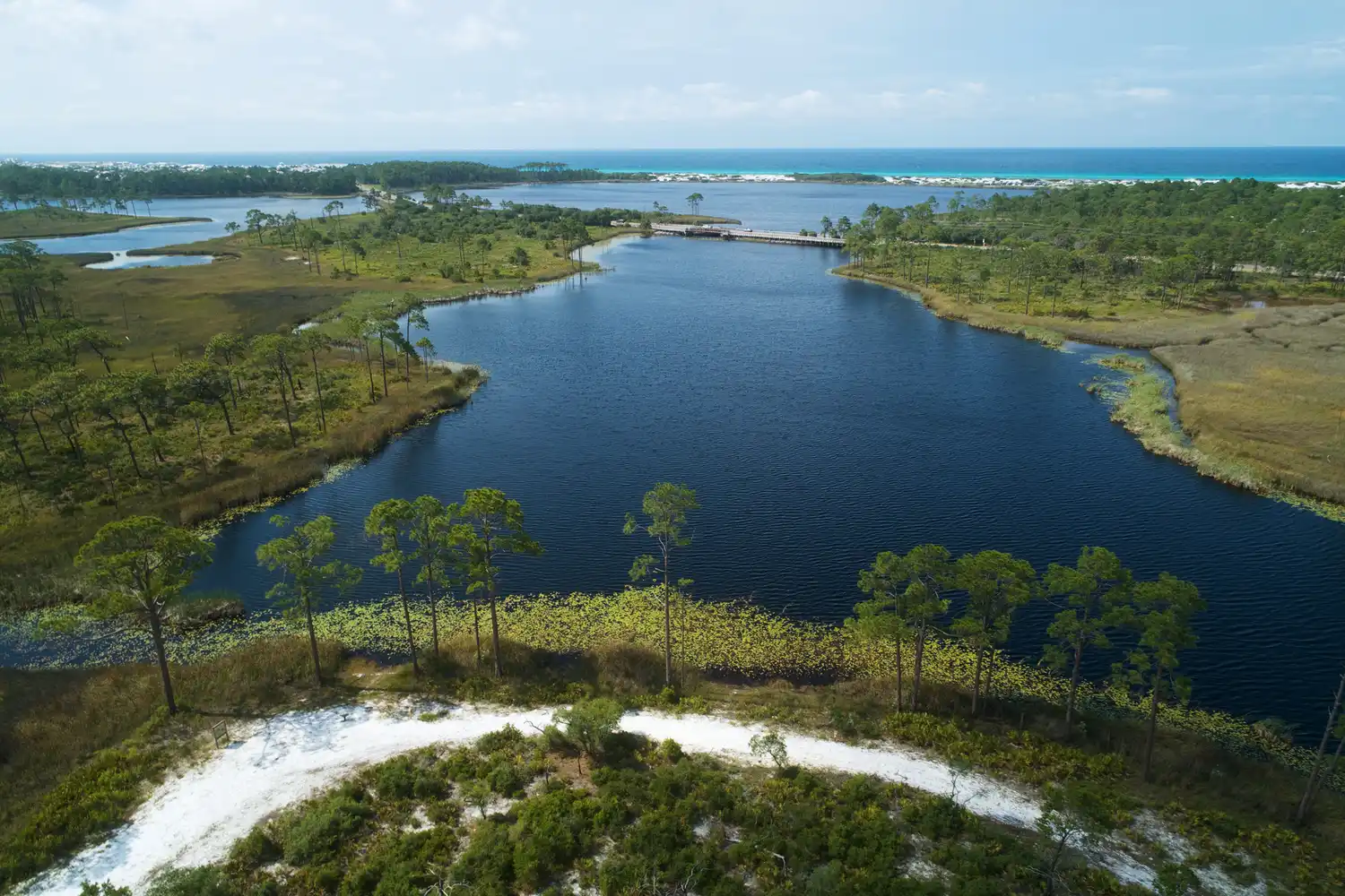 Aerial shot of Western Lake surrounded by lush vegetation and pine trees at Grayton Beach.