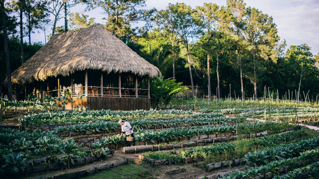 Sofia Coppola’s Botanical Spa at Coppola Hideaways Belize