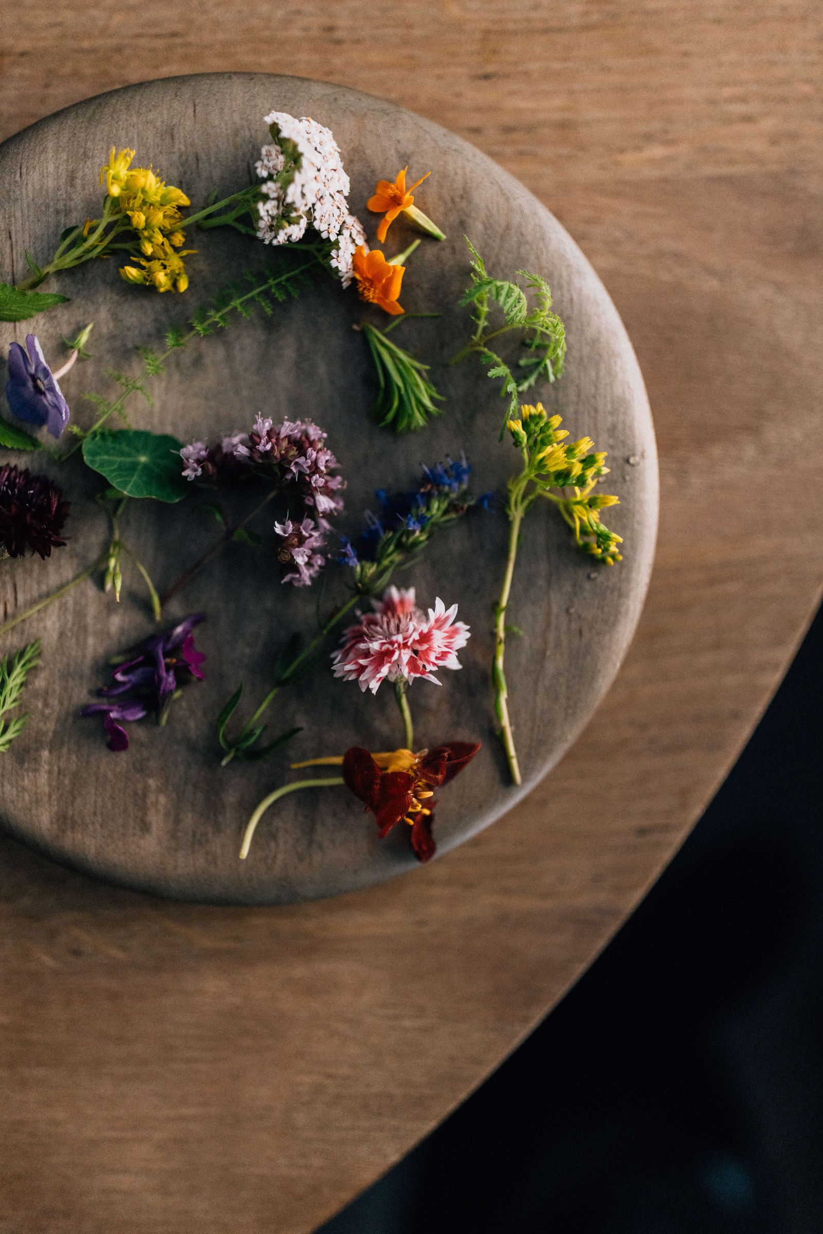 Close-up of a food plate featuring intricate patterns and artisanal plating techniques.
