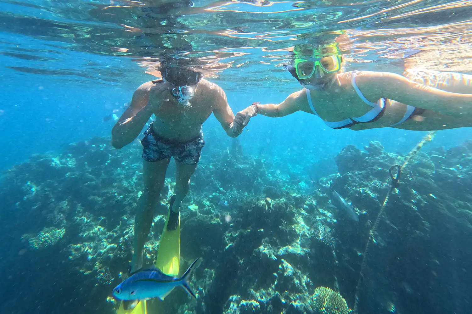 Two people snorkeling underwater in clear blue water surrounded by tropical fish and coral.