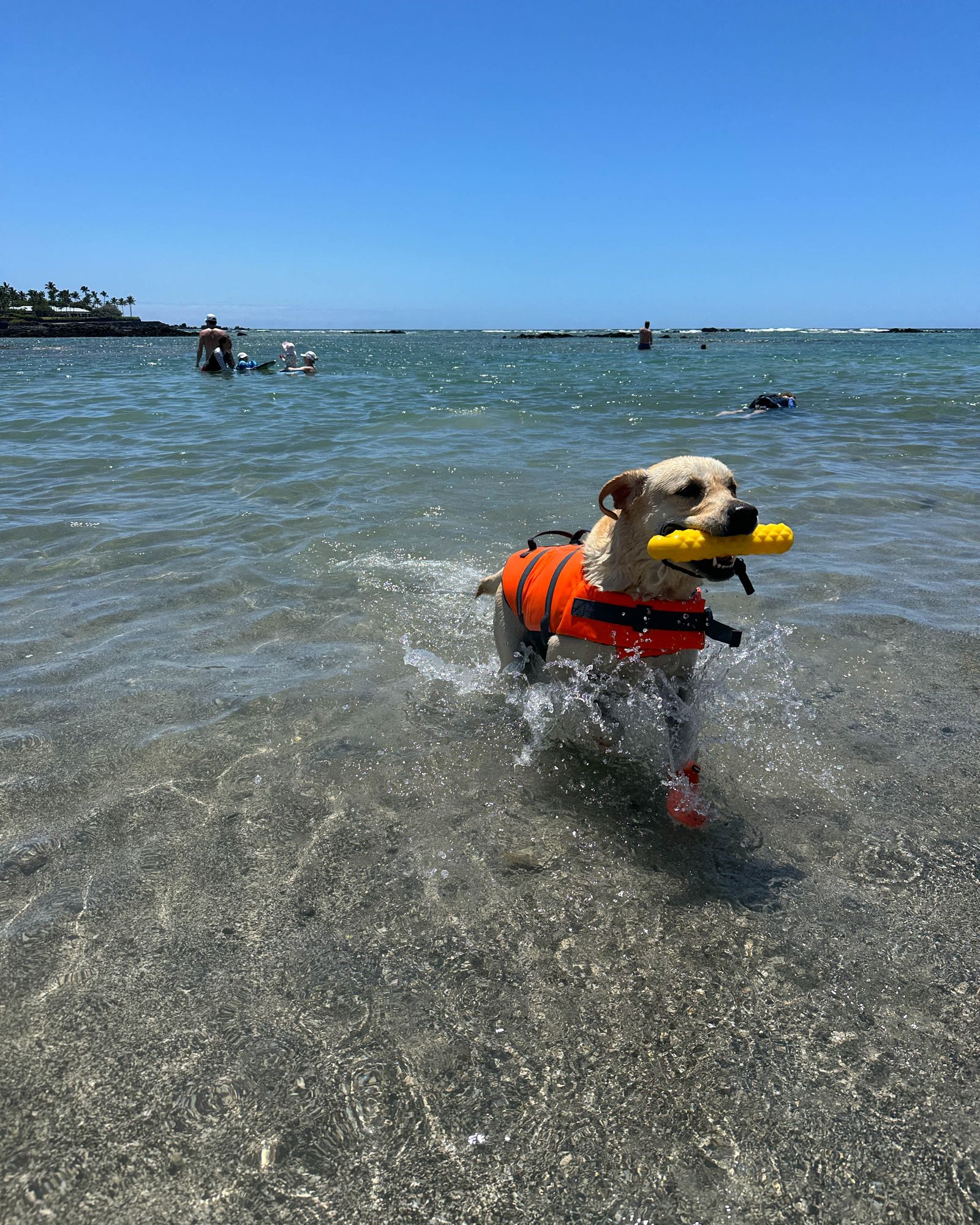 A guest wearing a lifejacket enjoys the calm, clear waters at the Mauna Lani private beach area.