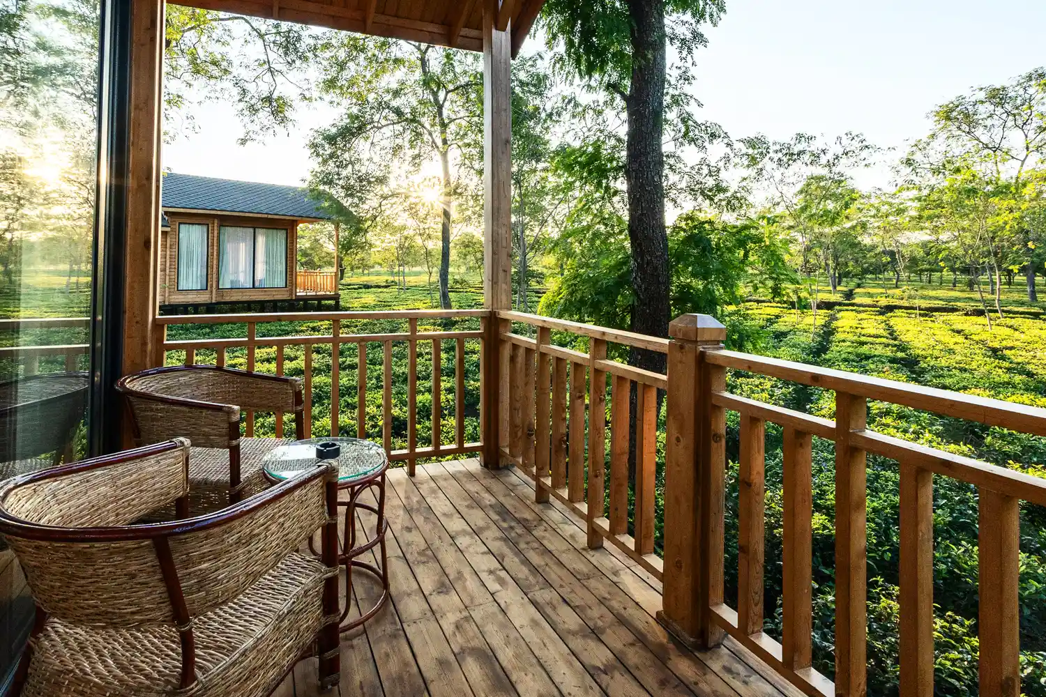 A wooden balcony with comfortable seating overlooking a sprawling green tea estate.