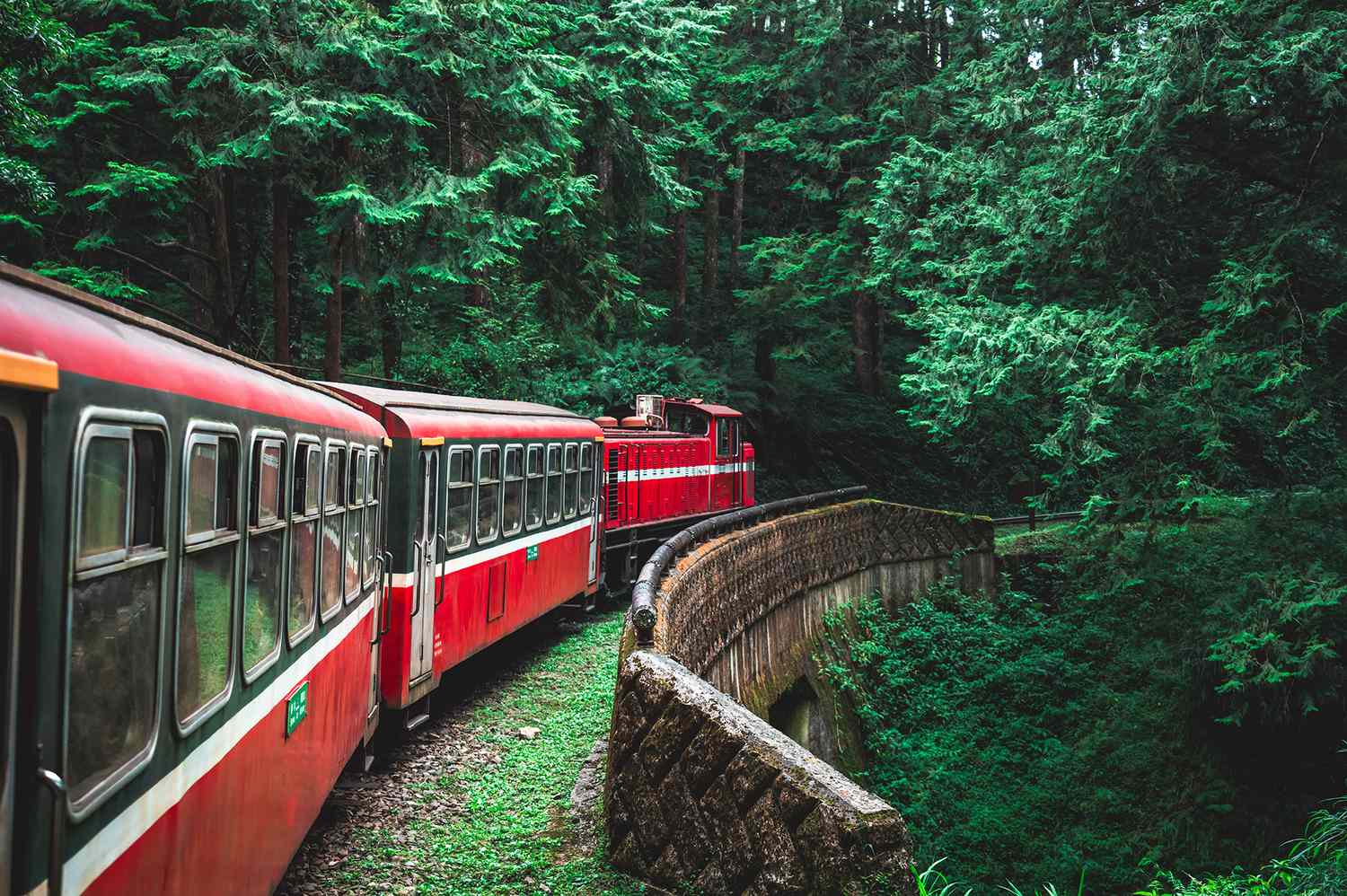 Alishan Forest Railway: Asia’s Most Scenic Train Trip