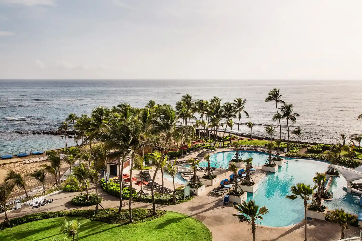 Aerial view of a circular resort swimming pool and beach layout with palm trees.