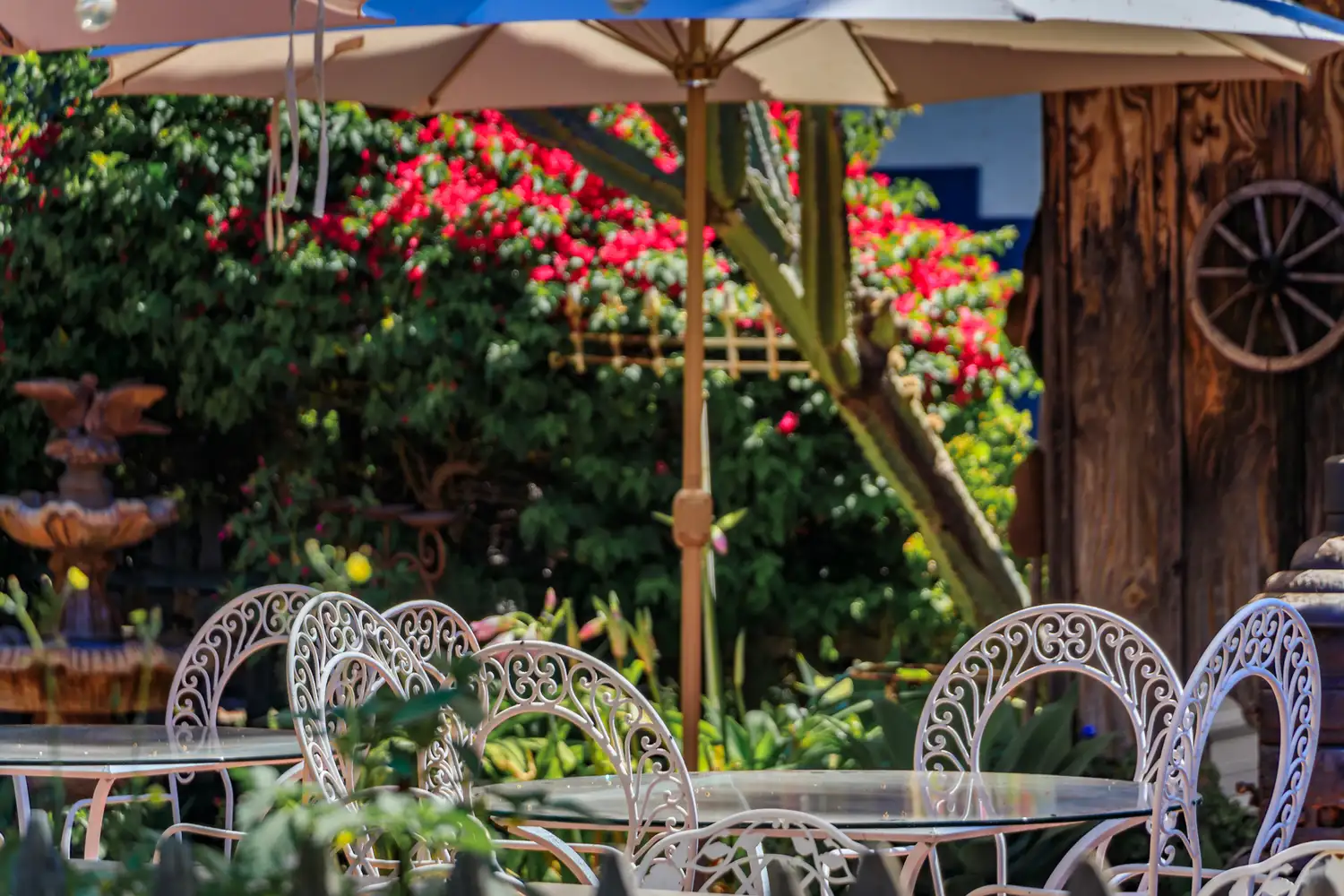 Ornate outdoor patio seating with umbrellas surrounded by greenery in San Juan Capistrano.