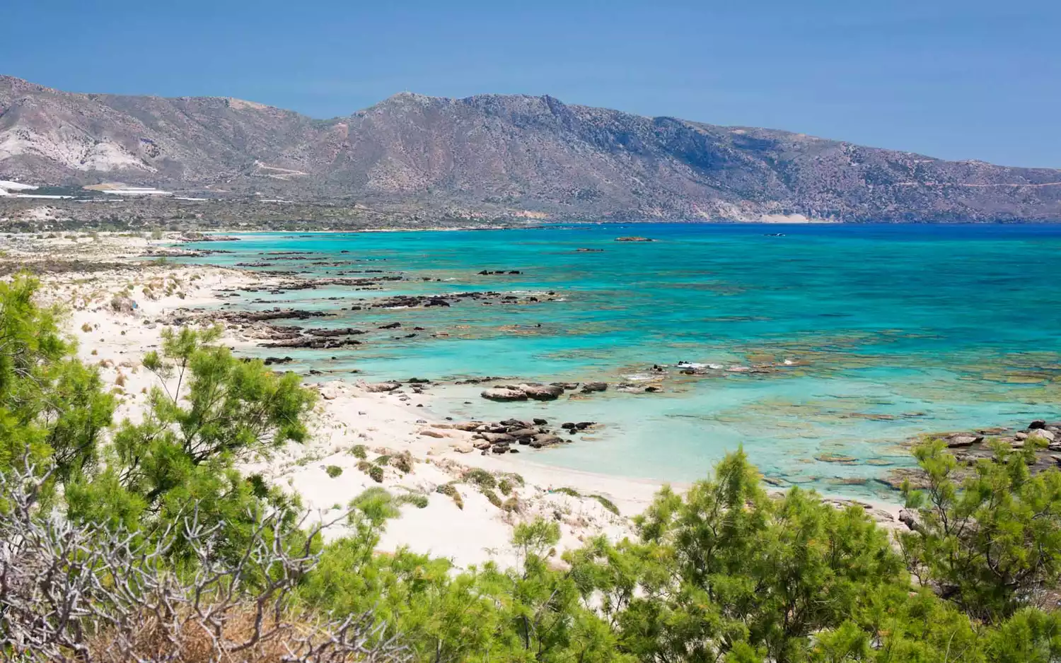 The pink-tinted shoreline of Elafonissi Beach in Greece meeting clear blue water.