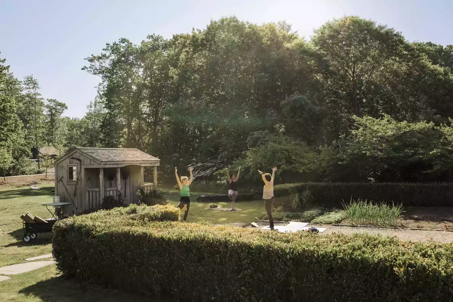 A group yoga session taking place outdoors on a wooden deck surrounded by trees.