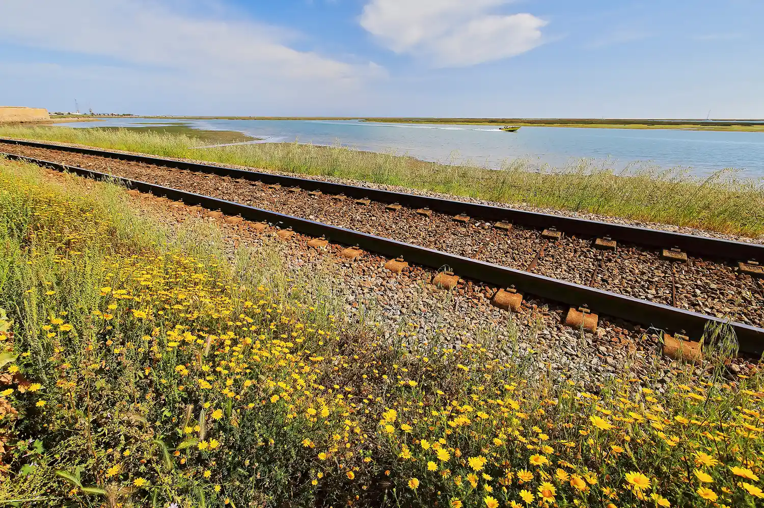 Railway tracks running through a rural landscape alongside a lake with wildflowers.