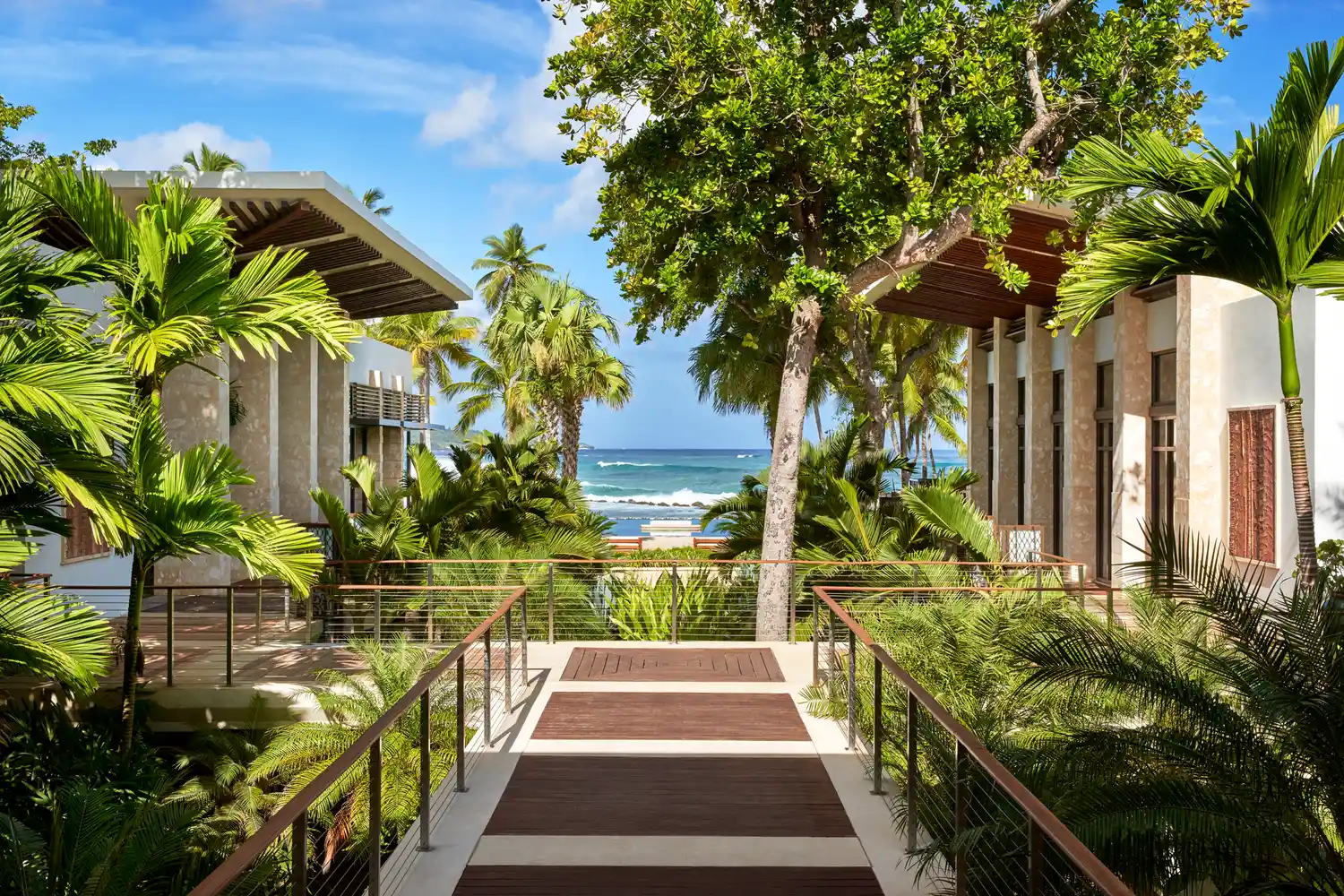 A tropical resort walkway at Dorado Beach surrounded by lush green plants leading toward the blue ocean.
