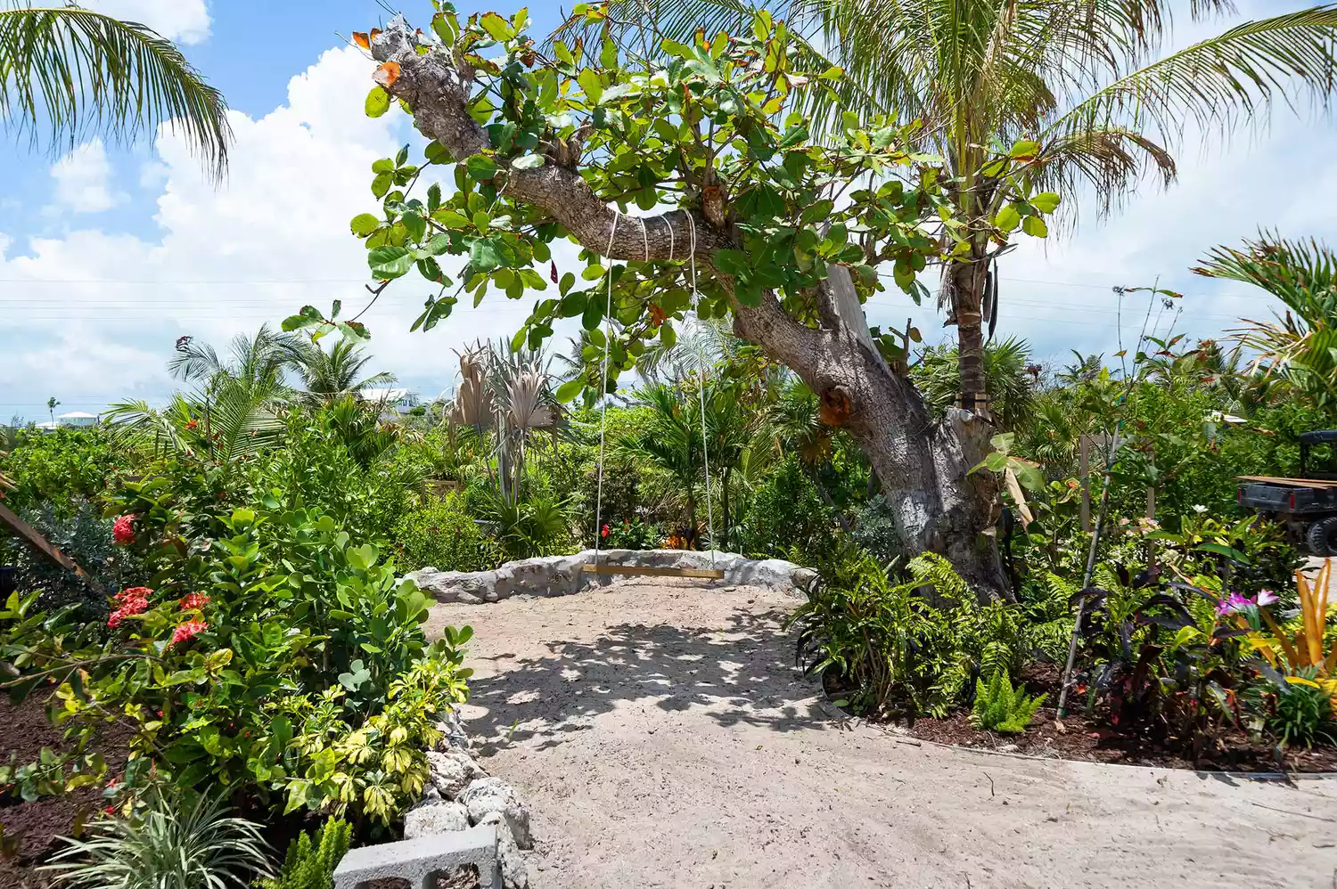 A rope swing hanging from a tree in the lush front yard of an island retreat.