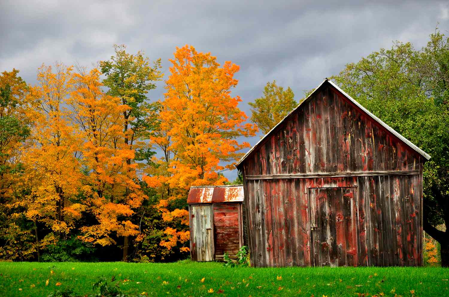 Top Saratoga Springs Attractions: A Year-Round Guide