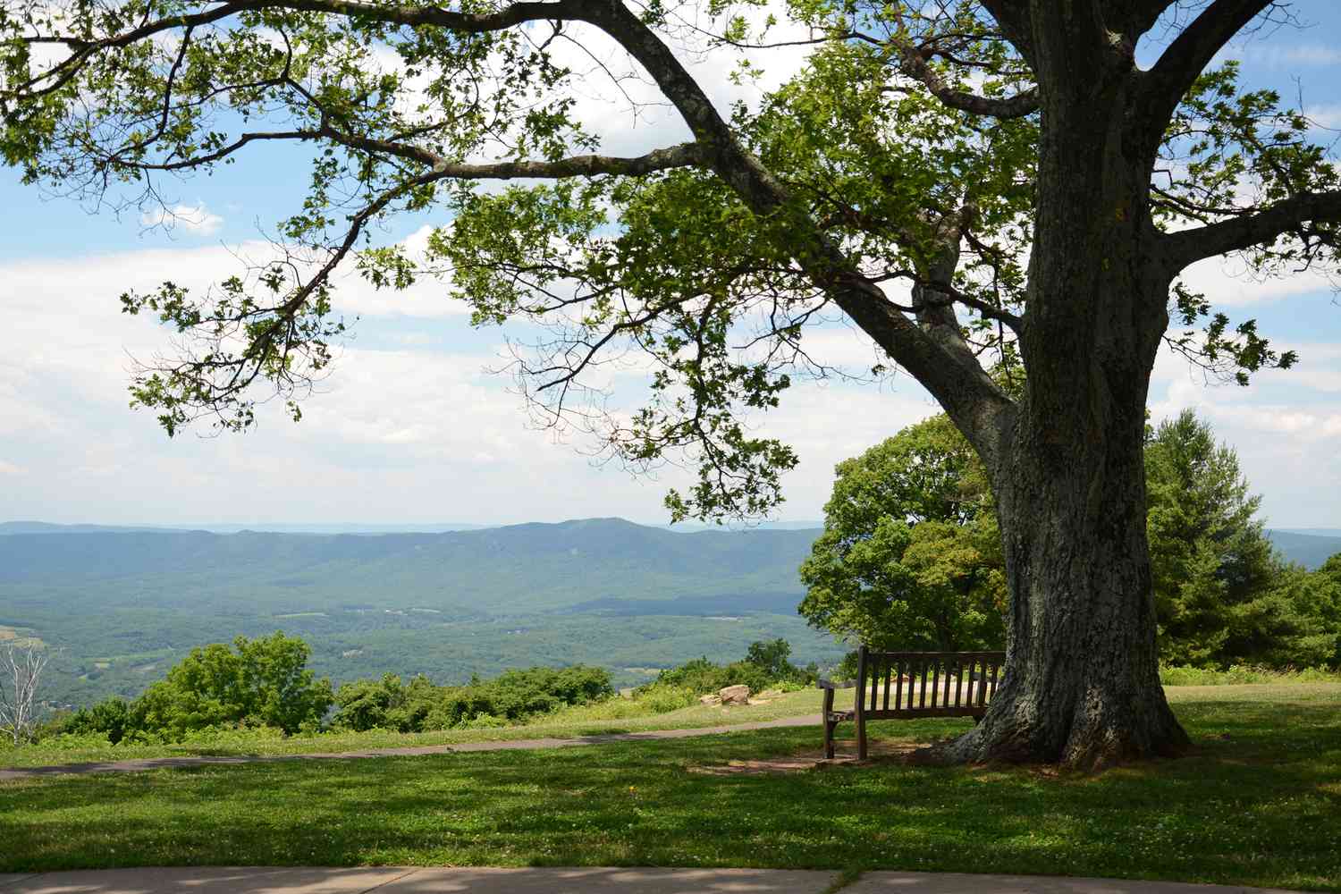 Primland's Luxury Treehouses in Virginia: A First Look