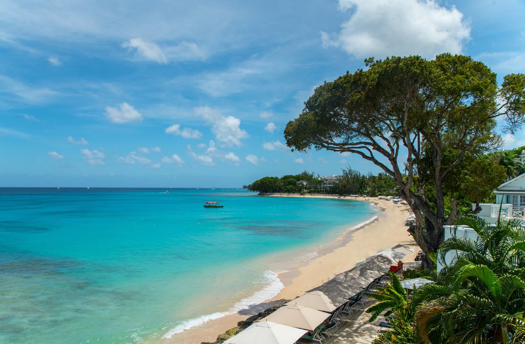 The beachfront at Tamarind resort in Barbados featuring clear water and coastal vegetation.