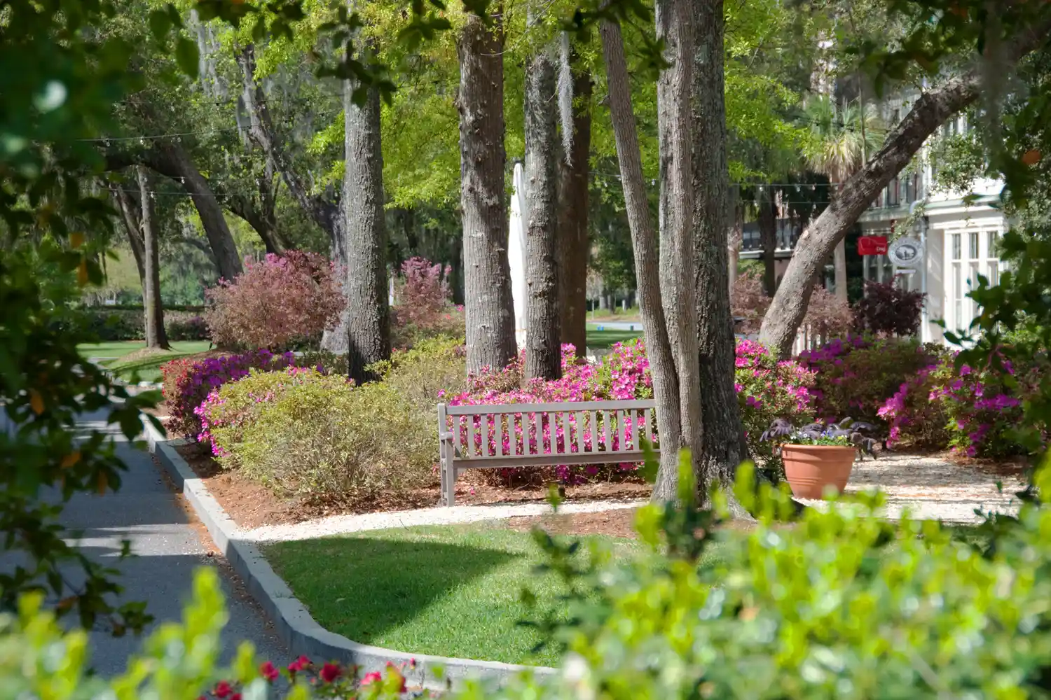 A quiet residential neighborhood park with a wooden bench and flowering bushes in Habersham, South Carolina.