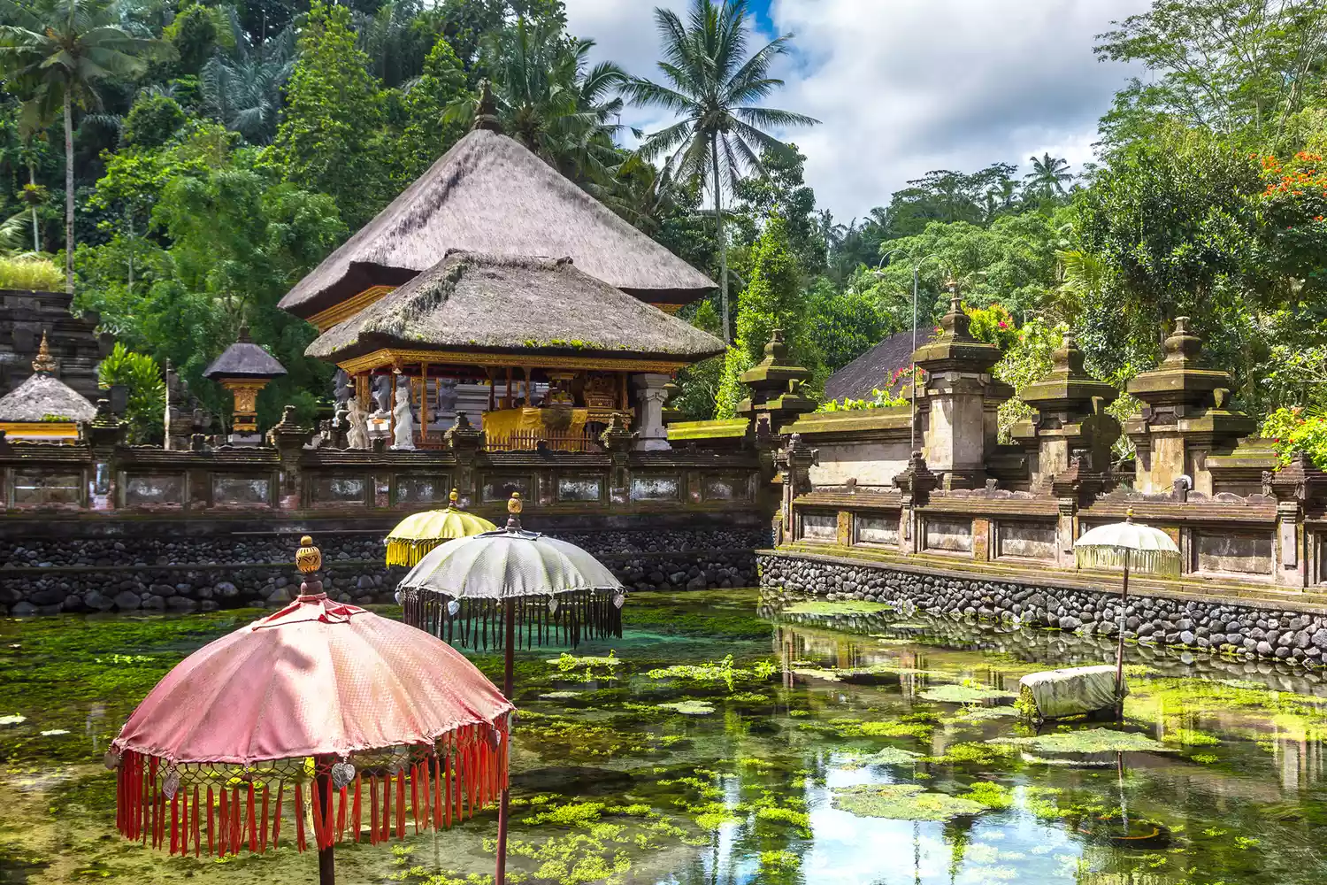 Travelers performing a cleansing ritual in the holy water pool at Pura Tirta Empul Temple in Bali.
