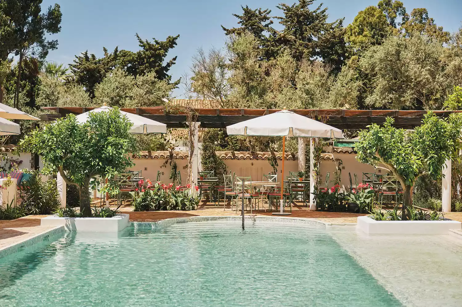 An outdoor swimming pool surrounded by subtropical palm trees and lounging areas at Marbella Club.