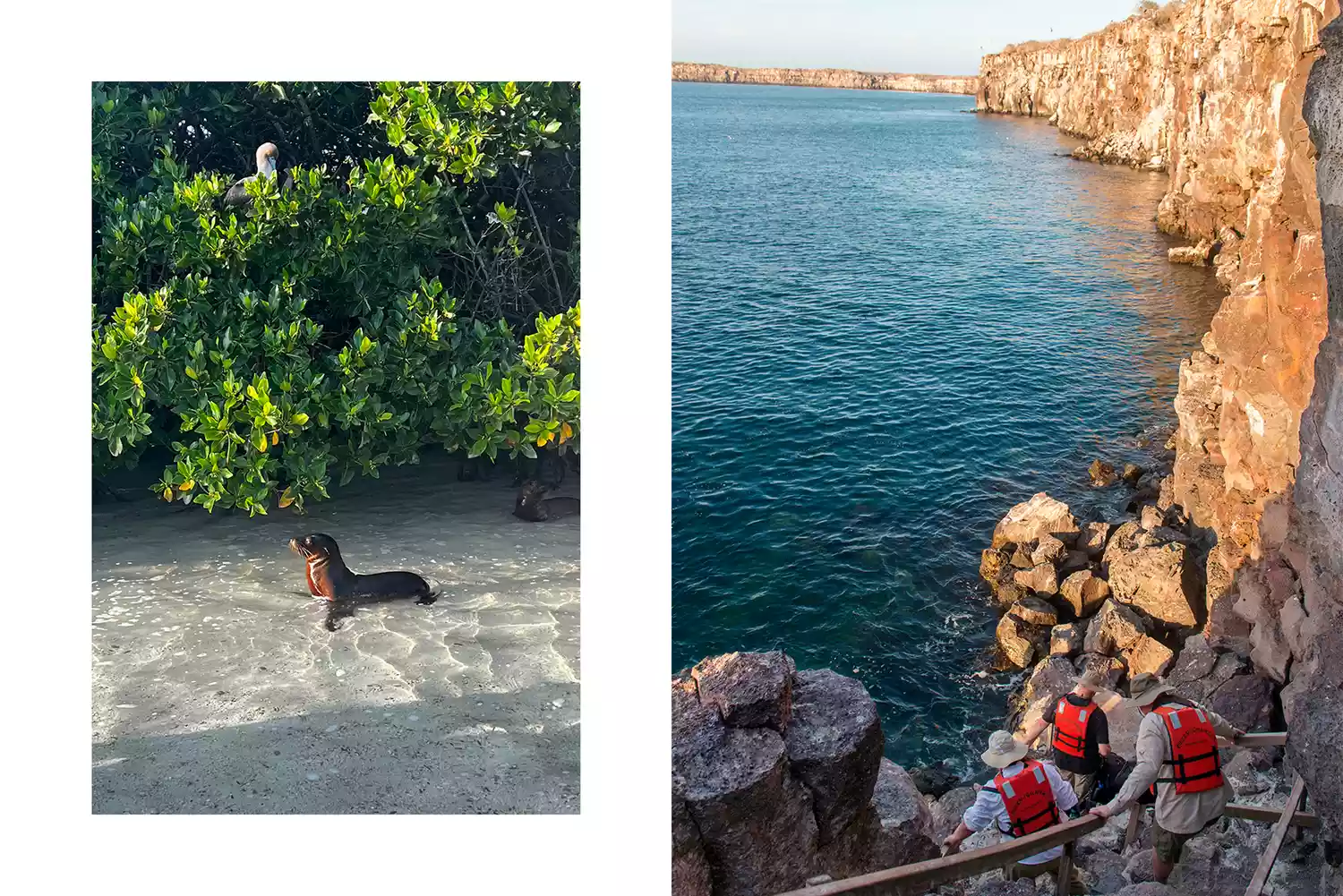 People wearing bright red life jackets walking along a rocky cliffside path.