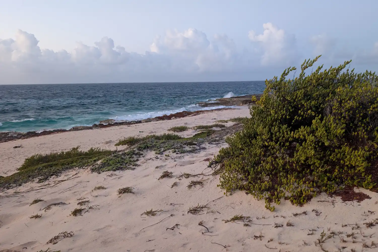 A quiet Salt Cay beach at dusk with soft waves hitting the shore and coastal vegetation.