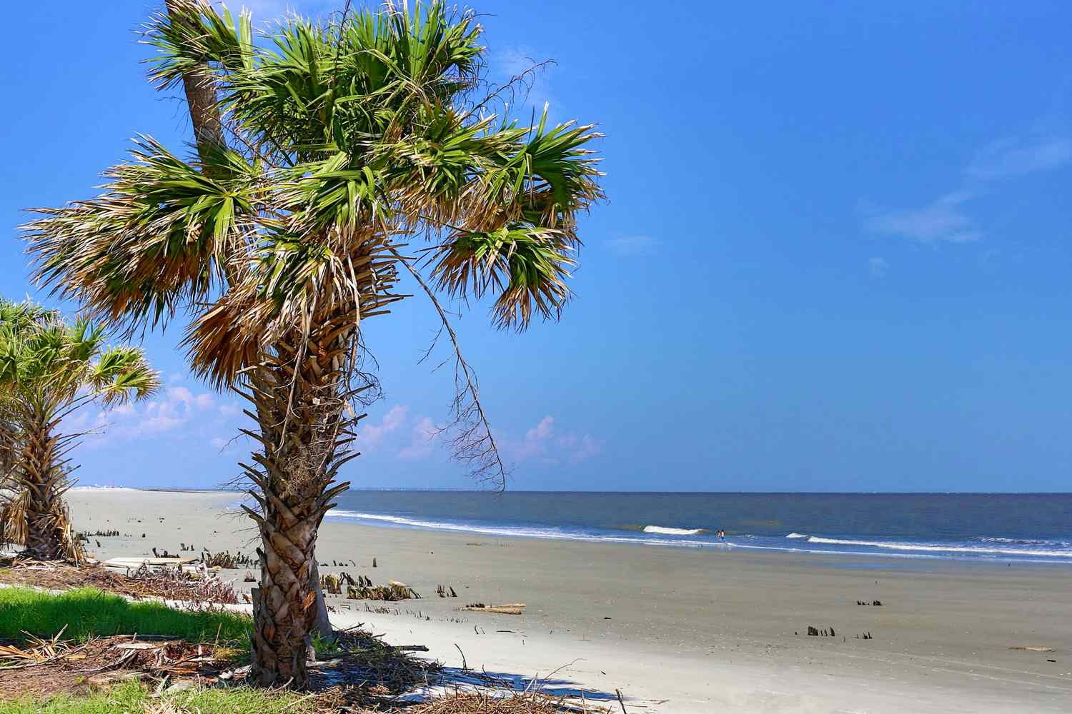 10 Best Southern US Barrier Islands for Your Bucket List