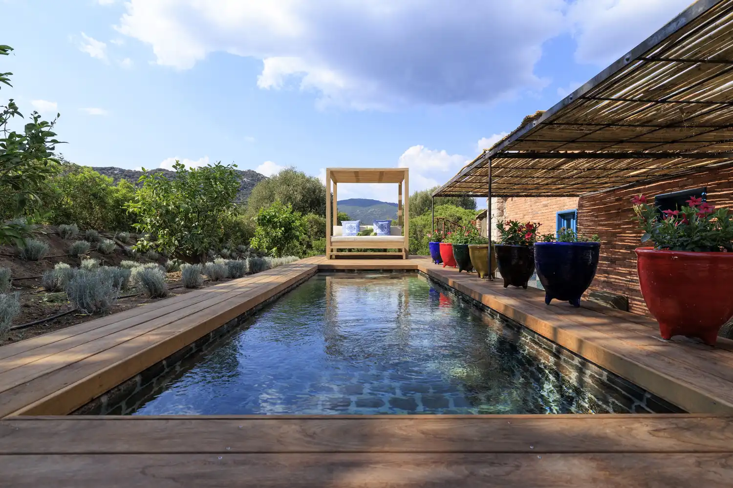 Private outdoor pool area with wooden decking and colorful planters at the Amandula Suite.