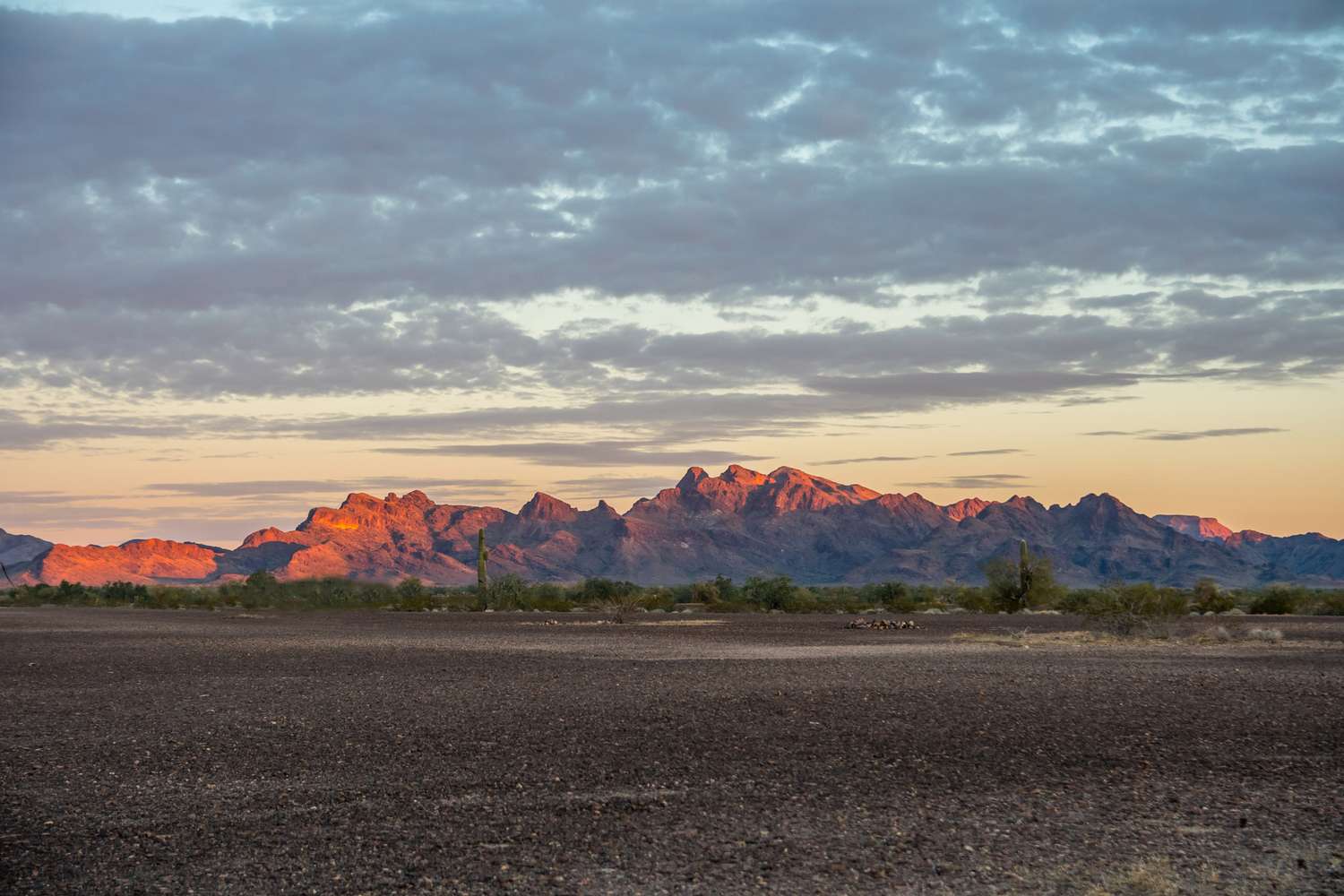 A group of RVs parked on flat, gravel-covered desert ground with distant mountains and sparse desert vegetation.