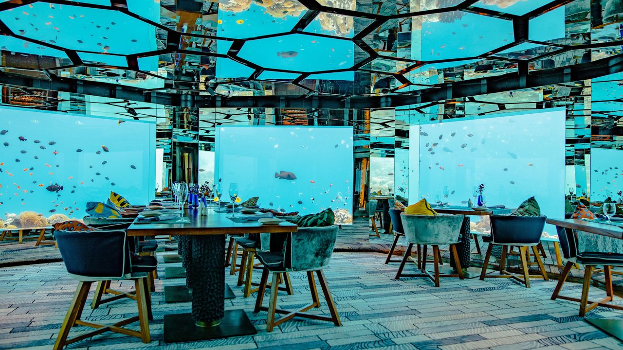 13 Best Underwater Hotels for a 2026 Luxury Stay