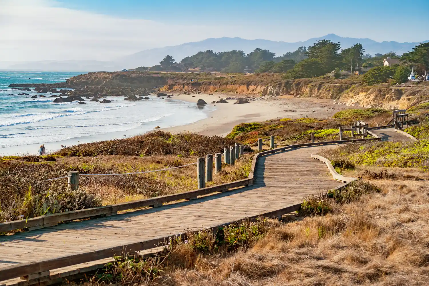 A wooden boardwalk winding through natural vegetation toward the ocean in Cambria.