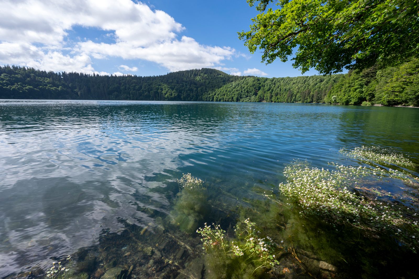 A calm crater lake surrounded by lush greenery and volcanic mountains.