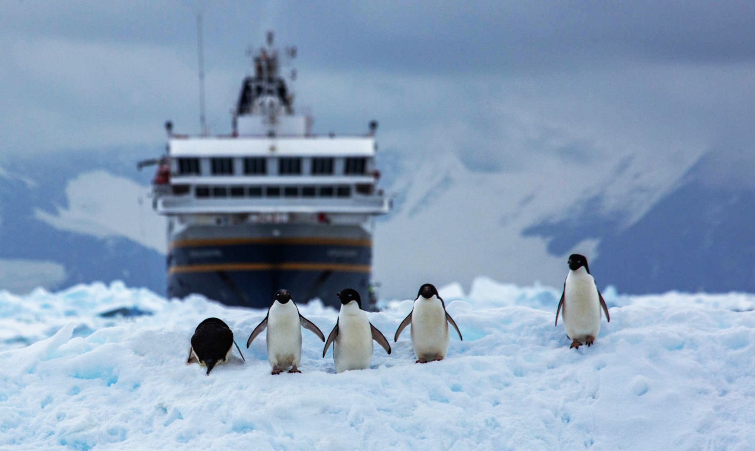 A powerful ice-class expedition ship moored in a frozen bay surrounded by penguins.