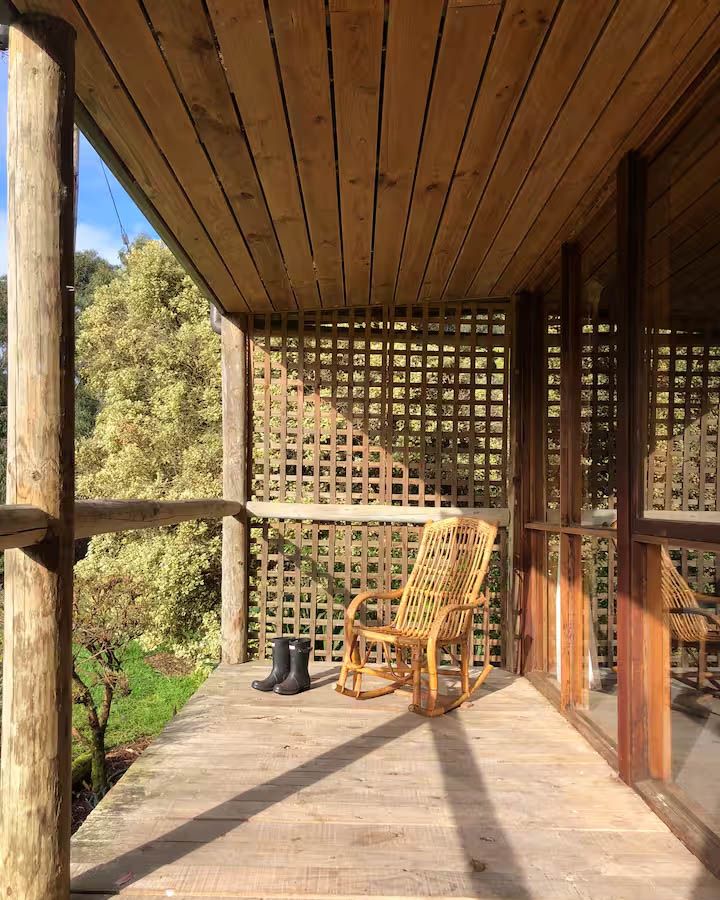 Interior shot showcasing a chair by a window overlooking the lush Otway forest.