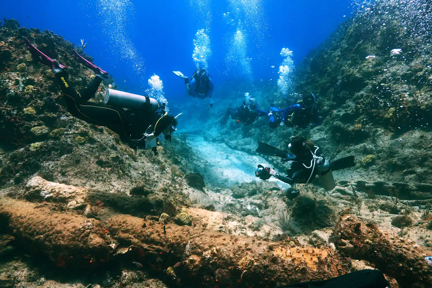 A group of scuba divers exploring a thriving coral reef system underwater.
