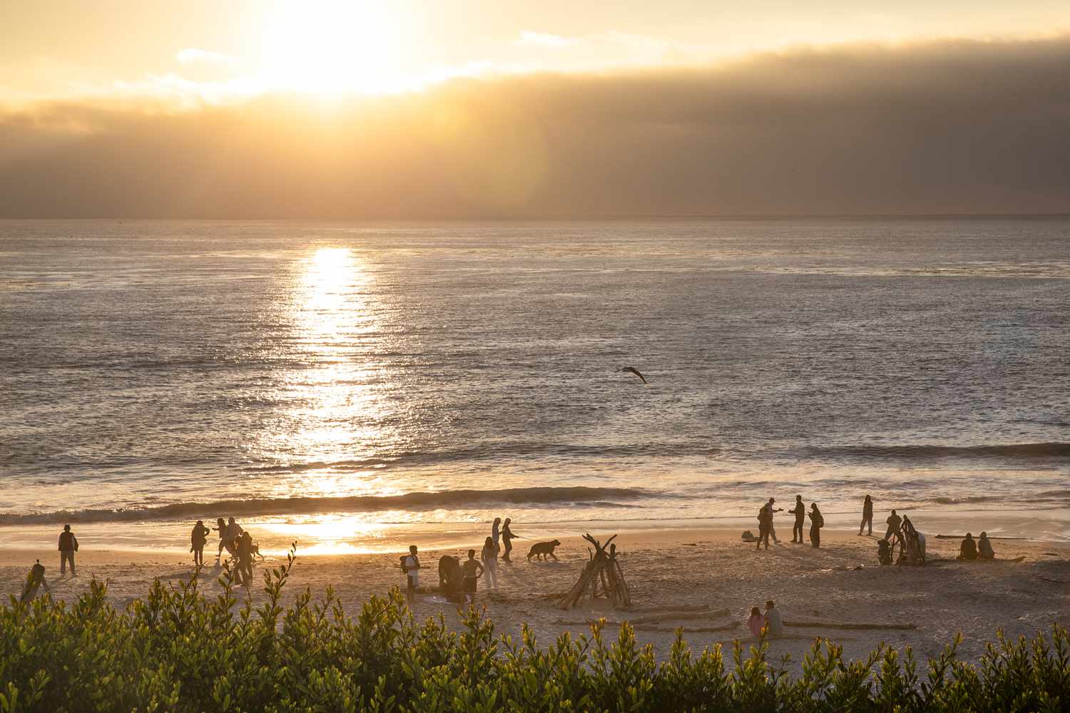 7 Best California Wellness Towns for Nature Escapes