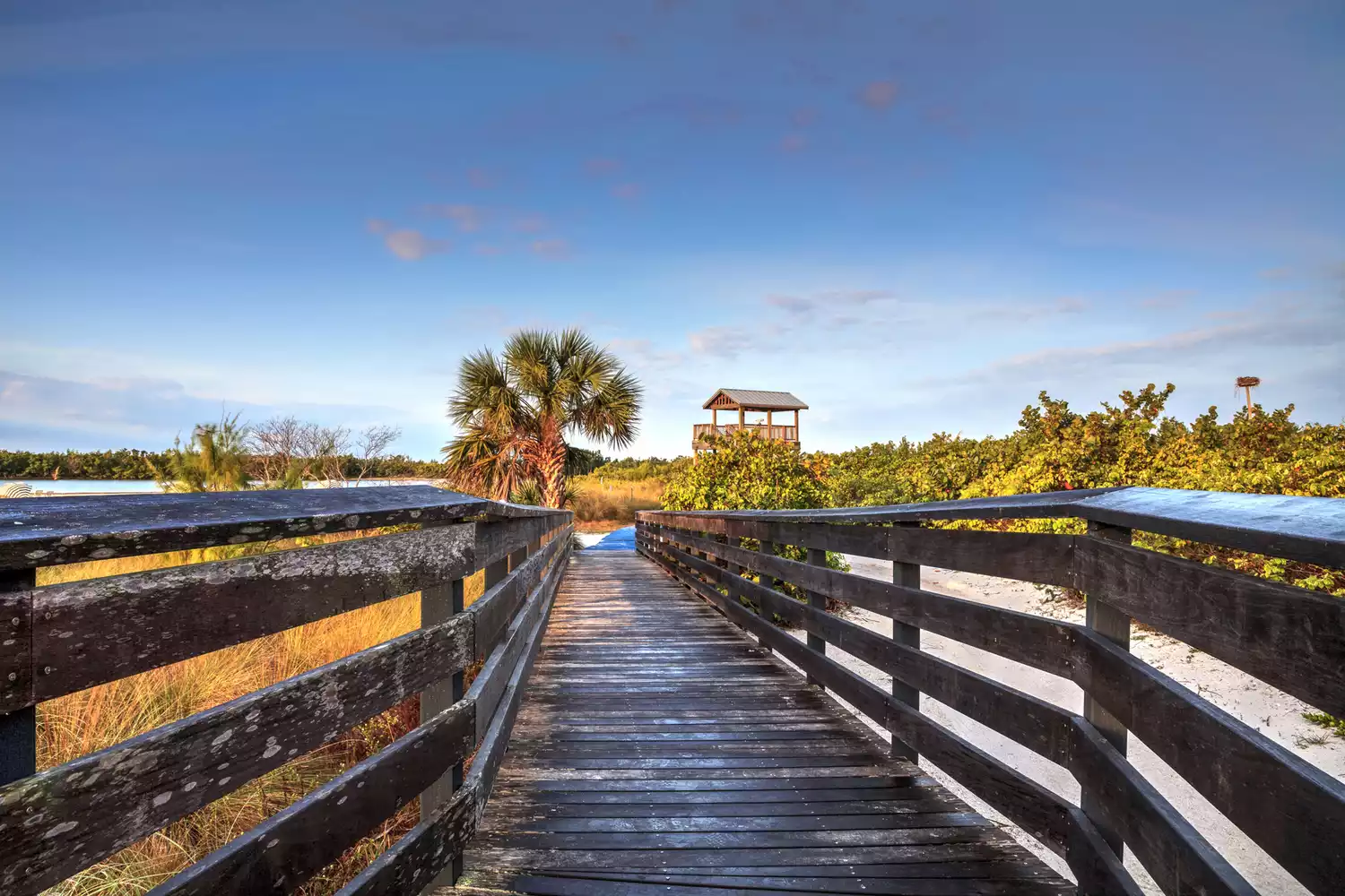 A wooden boardwalk leading to a bird observation tower at sunrise on Tigertail Beach.