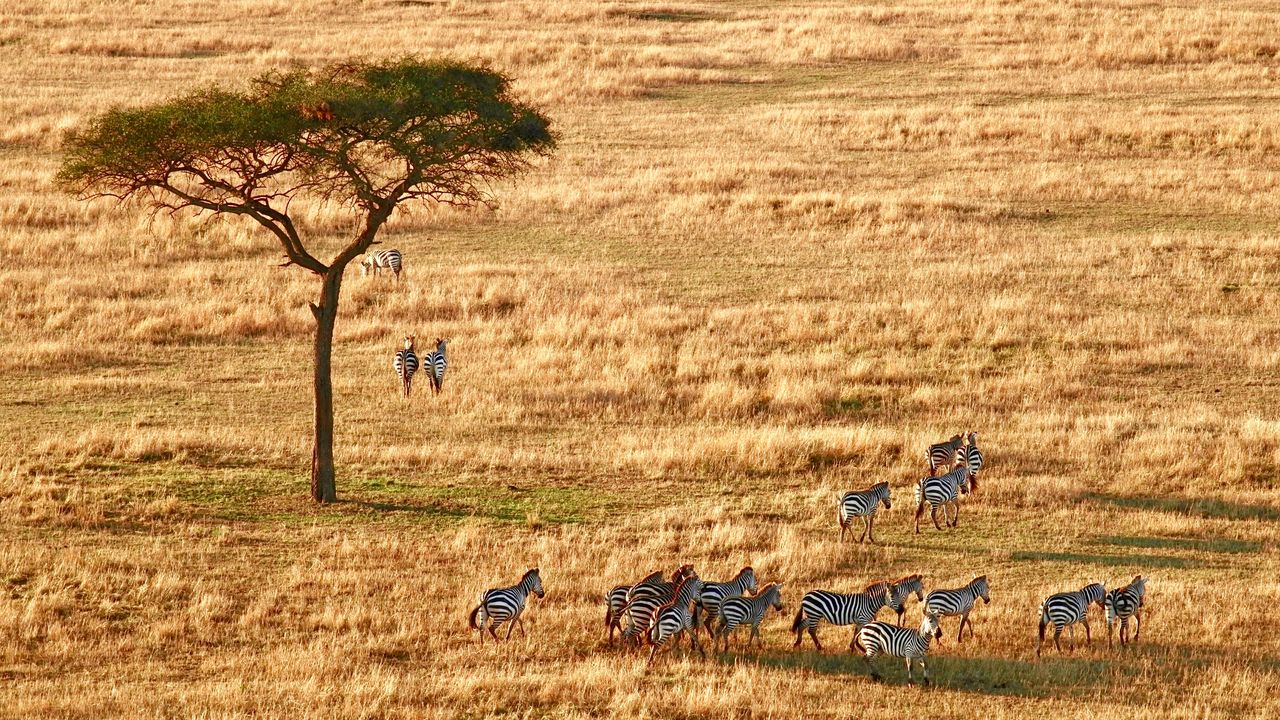 13 Best International National Parks: Jordan to Nepal