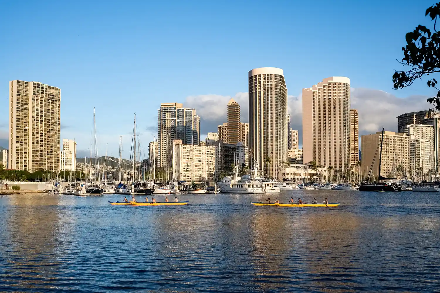 Rowers in a canal with the Honolulu skyline and tall buildings in the background.