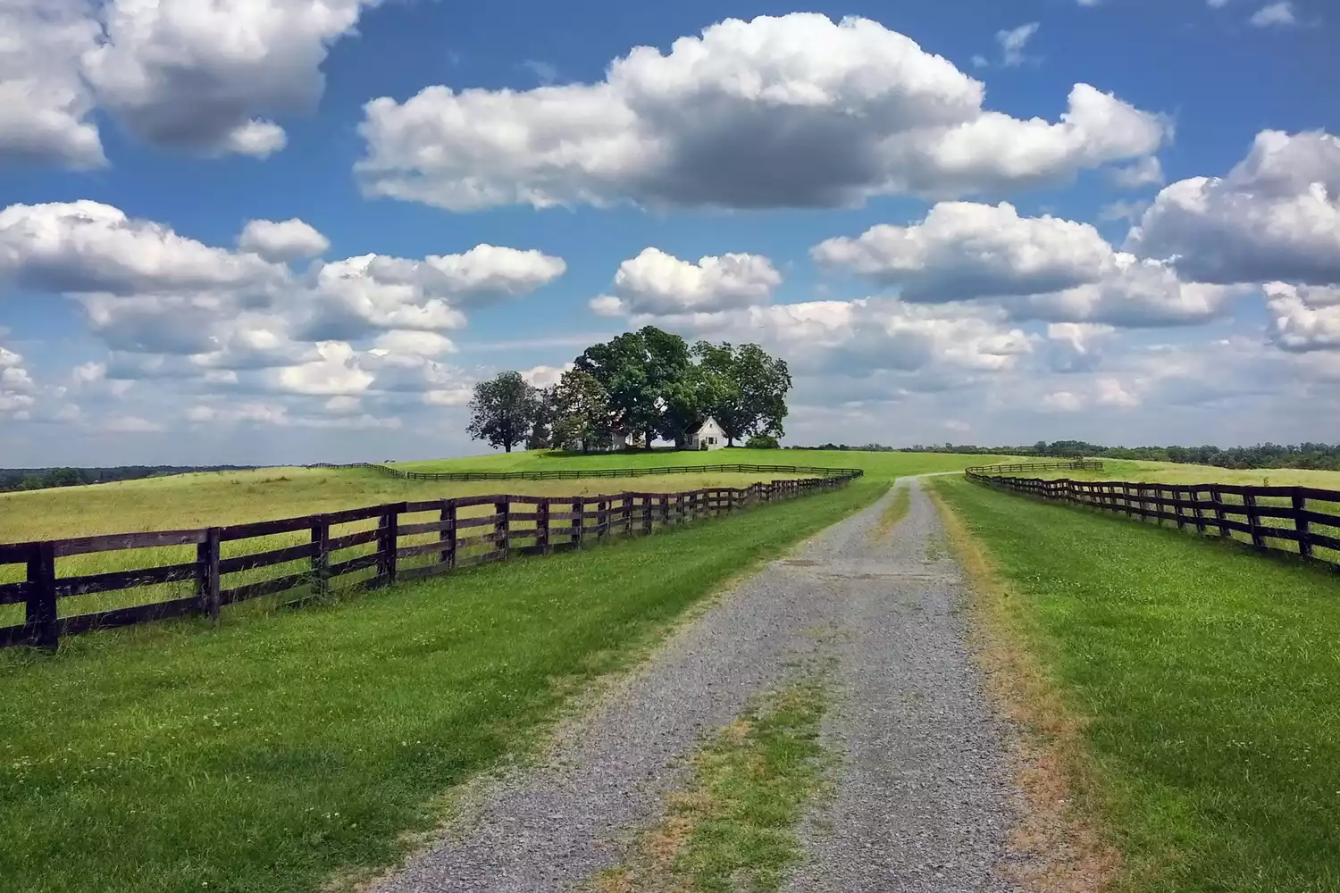 A scenic road winding through the lush green hills of Virginia's countryside.