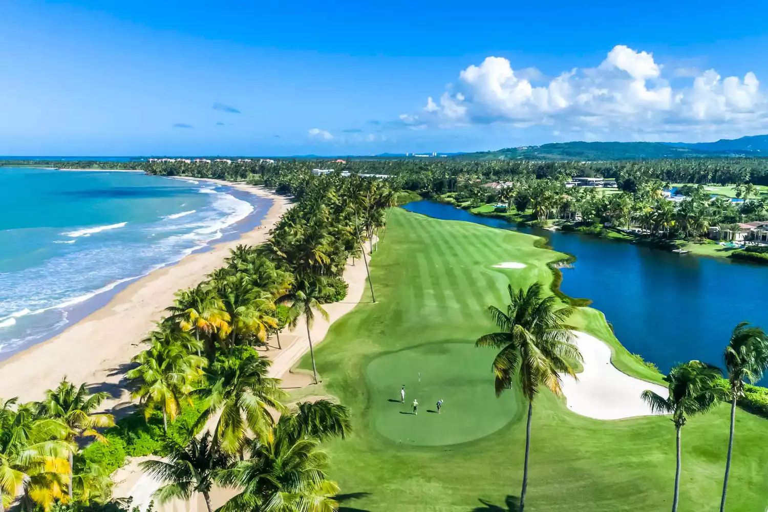 A lush green golf course at the St. Regis Bahia Beach Resort surrounded by palm trees.