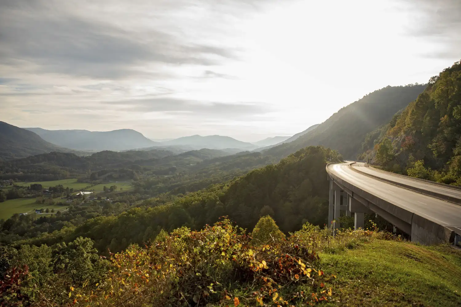 A high-angle view of a winding road through the lush green forests and hills of Powell Valley.